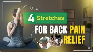 Lower Back Pain Relief in Minutes | 4 Powerful Stretches for Sciatica | Disc Bulge | Lumber Lordosis
