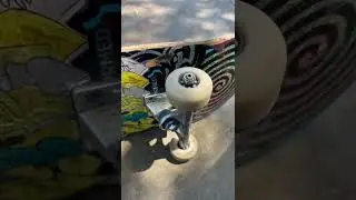 6 month old dirty bearings spinning wonderfully