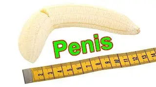 Male Enhancement Extenders Versus Male Enhancement Exercises &ndash; Which Is The Best?