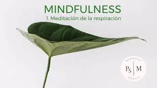 1. Meditación de la Respiración