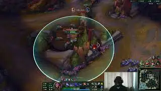 This is why talon must not be feeded !