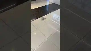 Самый быстрый наземный Дрон DJI Air 2S 🔥 #shorts