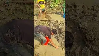 Awesome Village Field Fish Catching #shorts