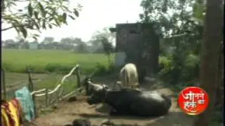 RTI STORY CHANDOLI,( UP) INDIA