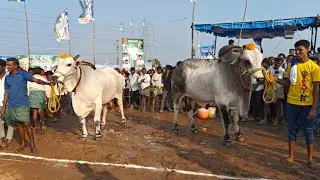 యర్రగొండపాలెం సీనియర్స్ 6.PVSR బుల్స్ పావులూరి వీరస్వామి చౌదరి,బల్లికురువ, బాపట్ల జిల్లా.