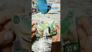 opening dragamonz cards