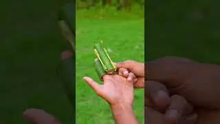 insane bamboo shooter