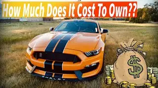 Shelby GT350's Maintenance Cost After 1 Year of Ownership
