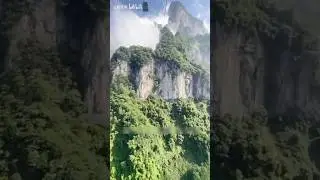 Avatar Super Long Cableway#shorts