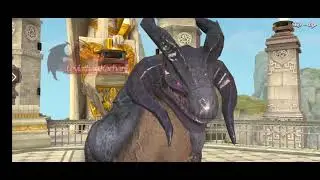 Rage of Dragons