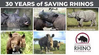Stronger Together - 30 Years of Rhino Conservation