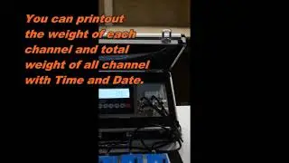 Prime Scales Wireless Crane Scale System