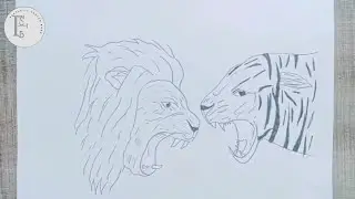 Create Fighting Lion With Tiger Sketch Drawing With Pencil Step By Step ||Fantastic Sketch Book.