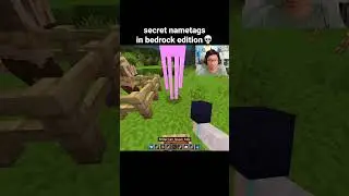 Minecraft Secret Nametags Moment