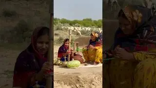 Village life rajasthan #traditinal #villagelife #rajasthan