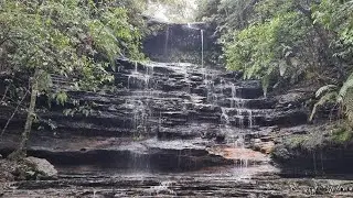 South Lawson Walking Track #nsw #bushwalking