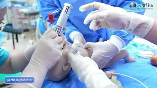 TYE9048 Neonatal Resuscitation Simulator