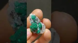 Lustrous Dioptase Crystals from Tsumeb, Namibia - DallasStoneworks.com
