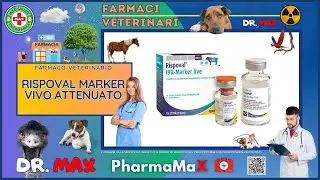 🐶 RISPOVAL MARKER VIVO ATTENUATO Farmaco Veterinario a cosa serve ? - Foglietto Illustrativo
