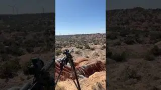 CRAZIEST THERMAL HUNT EVER is live on Youtube! #thermal #outdoors #short #coyote #calling #texas