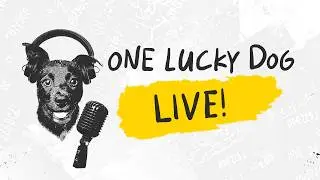 Technical Analysis, Johnny Accounts and Swing Trading | 02.17 | One Lucky Dog LIVE!
