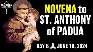 St. Anthony of Padua Novena Day 6 🙏🏻