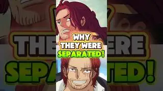 Why SHAMROCK and SHANKS were separated!#shorts