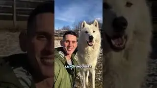 Acariciando o que restou do imposs&iacute;vel, com cuidado, respeito e um pouco de magia 🐺✨