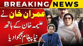 Aleema Khan In Action | Blasting Statement | Imran Khan Release | PUBLIC NEWS