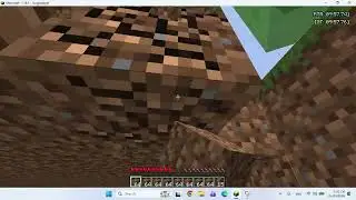 Minecraft: Java Edition Unofficial Category Extensions Speedrun Mine a Chuck Superflat RSG NS O Solo