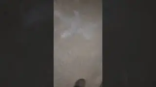 Mr Jean Jacket AMM♡48 STREET CURB 10252025 242 141 911 CALL CO CRO EAST X KZST RAD moonwalk JAMWF♤◇♧