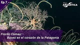 Buceo en Fiordo Comau | Ep. 07 - En el corazón de la Patagonia