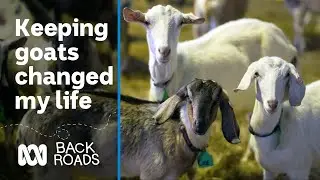 Keeping goats changed my life 🐐 | Back Roads | ABC Australia