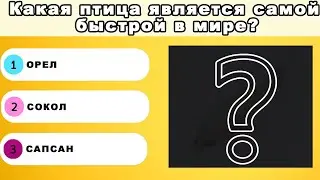 УГАДАЙ КАКОЙ ФАКТ ПРИНАДЛЕЖИТ ЖИВОТНЫМ🐼ЧЕЛЛЕНДЖ