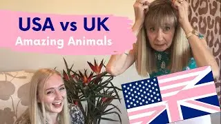 Amazing Animal facts to make you laugh - USA vs UK
