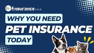 Rising Cost of Vet Bills Causing You Stress? Pet Insurance Can Help....