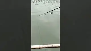 mancing lagi di situ lengkong panjalu😂😂 #mancingmania