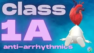 Class 1A Anti-arrhythmics (Mnemonic for the USMLE)