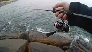TUTORIAL DTD REAL FISH BALLISTIC