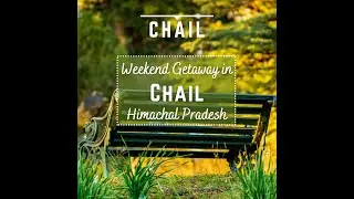 Chail- An Alluring Hill Station/ Weekend Getaway/ Places you can visit in Chail