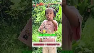 Вы когда-нибудь видели какие-нибудь другие 🚫 странные дорожные знаки 🤔#смешно #шорты