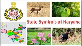 STATE SYMBOLS OF HARYANA
