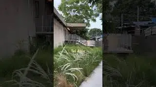 South Tel Aviv, Israel | ישראל תל אביב
