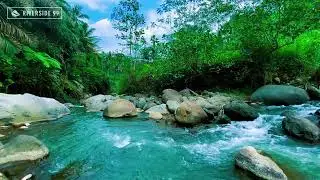 River Sounds for Sleeping Naturally with Soft Stream Water for Calm Rest