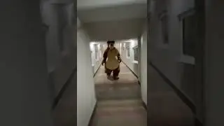 bear chasing monkey #bear  #chasing #funny  #horror #police