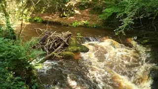 How to Cross a Fast-Flowing River by Motorcycle