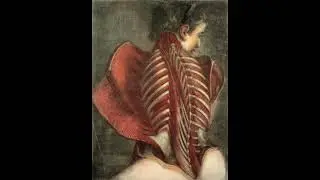 (free) hard playboi carti + i am music type beat 