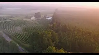 A Wine Lover&rsquo;s Escape in Eastern North Carolina