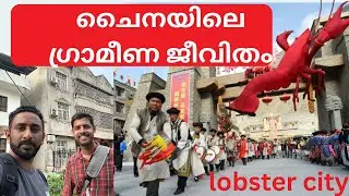 China Village Life Travel Malayalam| Yellow Crane Tower Wuhan 