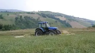Fienagione 2016 con New Holland TM165 & Claas Disco 3200 FRC + 3100 contour
